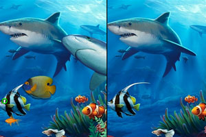 开盘：美股周五低开 科技股再遭重挫