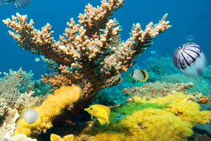 美国联合能源公司三季度EPS超预期