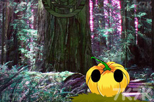 亚马逊布局黑色星期五