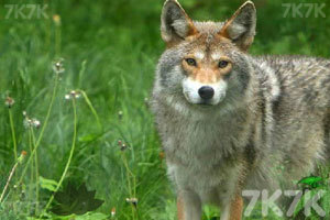 午盘：美股涨跌不一 纳指与标普指数转涨