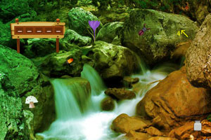 特朗普称愿考虑给予匈牙利豁免 免受对俄能源制裁影响