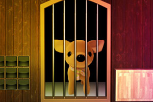 特朗普怒斥未无薪工作的空管人员 警告称不复工就扣薪