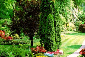 真爱美家：股票交易异常波动