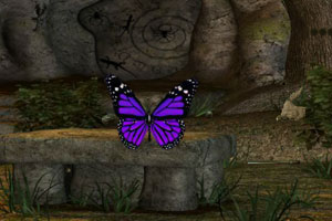 官宣！京东第一辆车，价格定了