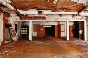 603122，14天12涨停！600829，5连板！这一概念火了，多只牛股诞生！