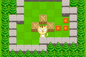 涛涛车业港股IPO：账面“不差钱”仍要募资 市场份额“全球第二”有无水分？